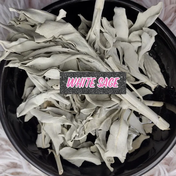 🌙Witch Bundle 🌙 - Picture 6 of 14